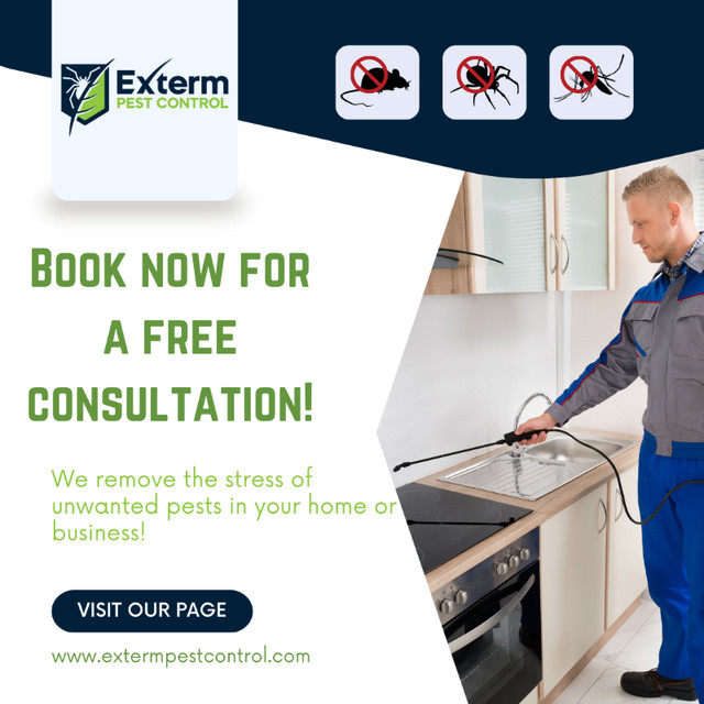 AFFORDABLE  PEST CONTROL | FREE CONSULTATION | 416-857-9254 in Other in Mississauga / Peel Region