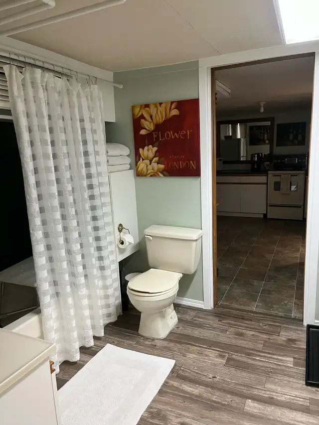 1 Bedroom Basement Suite  - Newly Reno'd