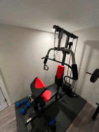 Home Gym Weight System