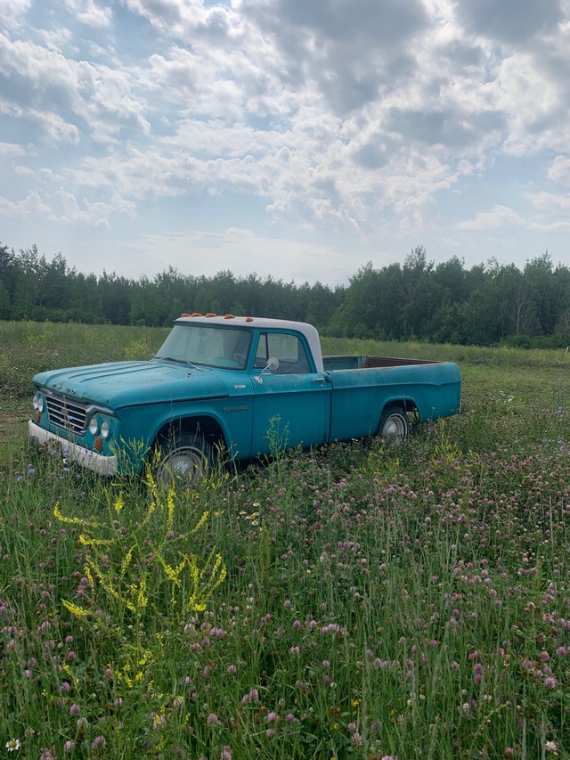 1966 Antique Dodge Fargo Classic Cars Thunder Bay Kijiji