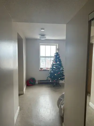 1 bedroom with a private washroom available in 2 a bedroom apartment for rent. Near city hall -10 mi...