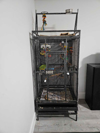 Playtop parrot cage 