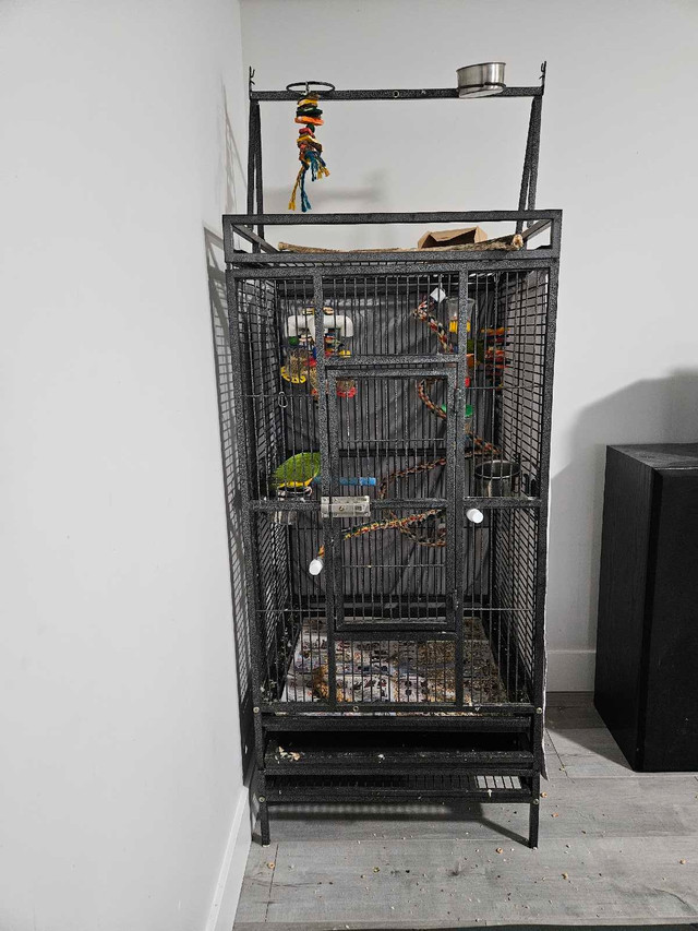 Playtop parrot cage  in Birds for Rehoming in Abbotsford