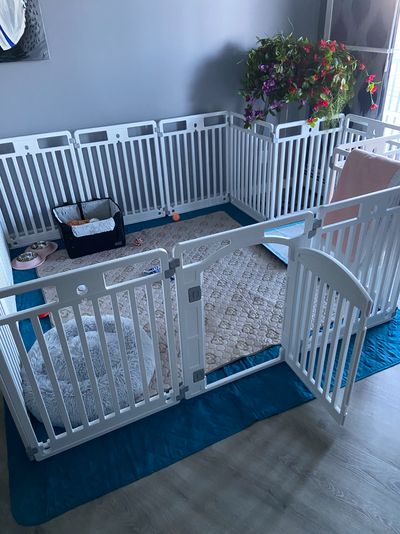 Pet Playpen - Heavy Plastic for Small Dogs, View more