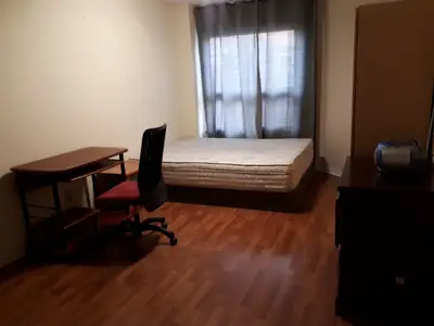 Spacious room for rent