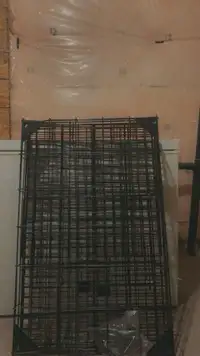 Cat cage