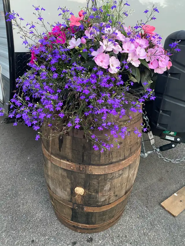 Oak  Barrel Planters - starting $29 in Outdoor Décor in Oshawa / Durham Region - Image 4