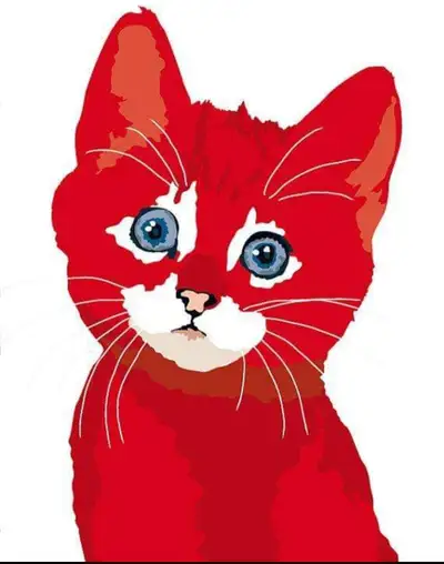 HOME BOARDING FOR CATS NO CAGES!!!! Your cats don't need to mix up with adults, children, dogs and o...