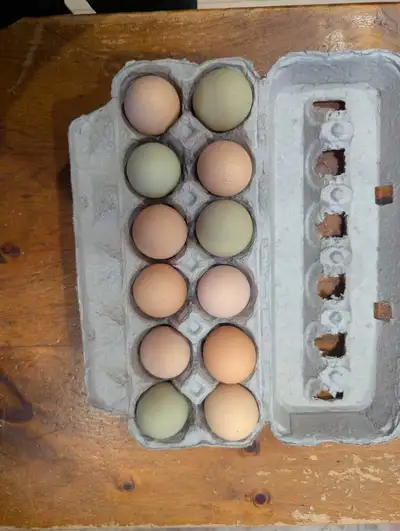 Farm eggs for sale in Valleyview, AB, View more