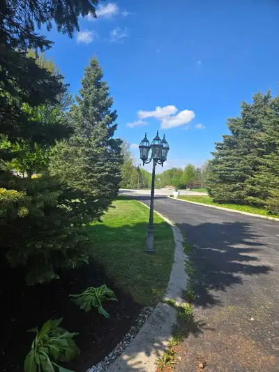 spring cleanup, View more