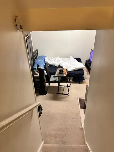 basement for rent in Scarborough