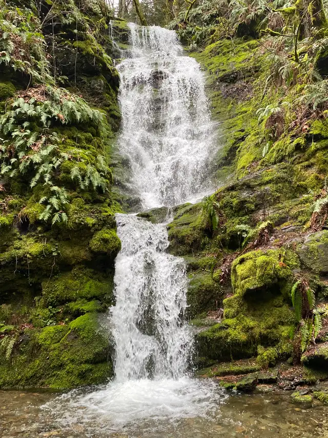 SHORT TERM/LONG TERM RENTAL in British Columbia in Canada - Image 10