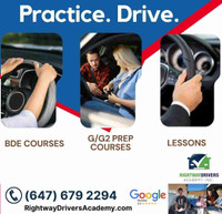 Professional Driving Instructors (Brampton) 6476792294