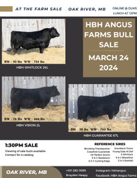 HBH Angus Bull Sale 2024