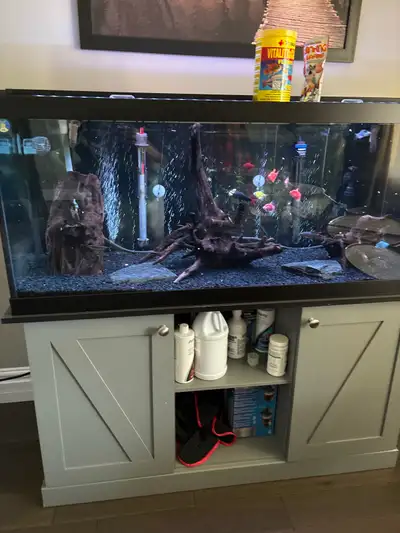 75 gallon aquarium , View more
