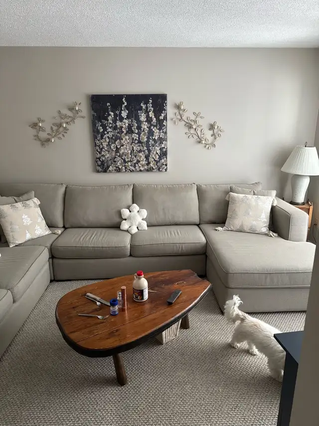 sectional couch in Couches & Futons in Barrie - Image 3