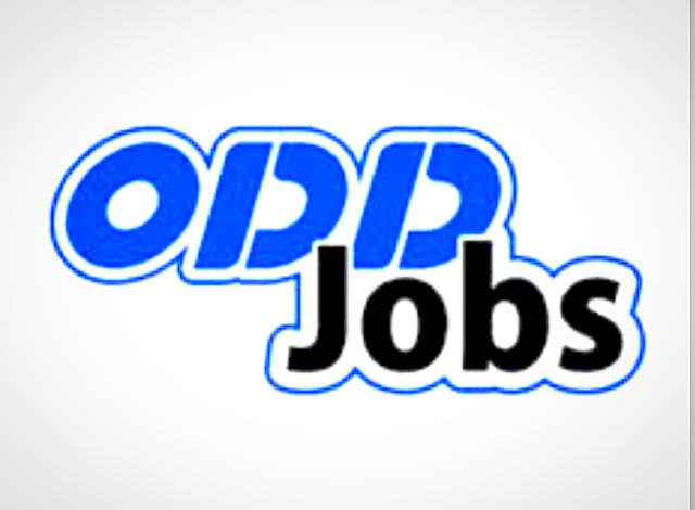 Odd Jobs in Other in Delta/Surrey/Langley