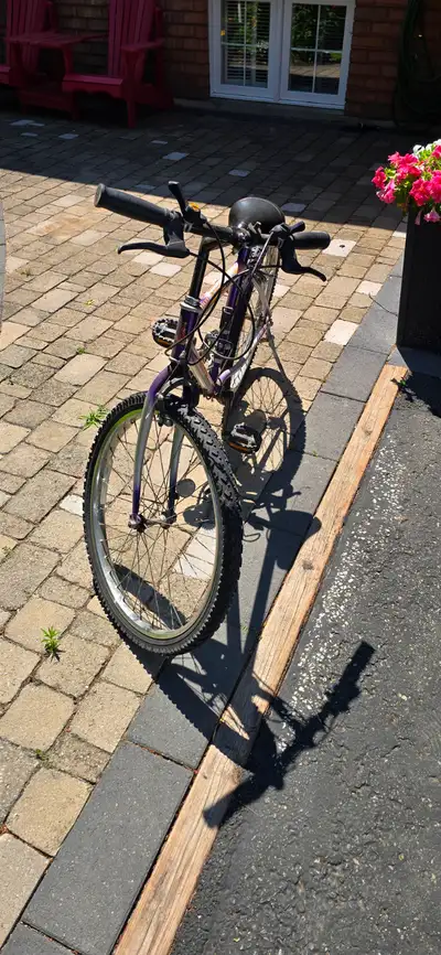 Raleigh Bicycle, View more