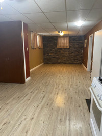 Basement Suite