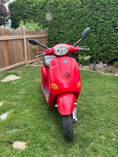 Her name is Lolita, She is a 2005 50cc vespa, first generation italian-canadian, grew up in the stre...