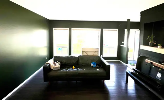 Professional Interior Painter590081416757913601