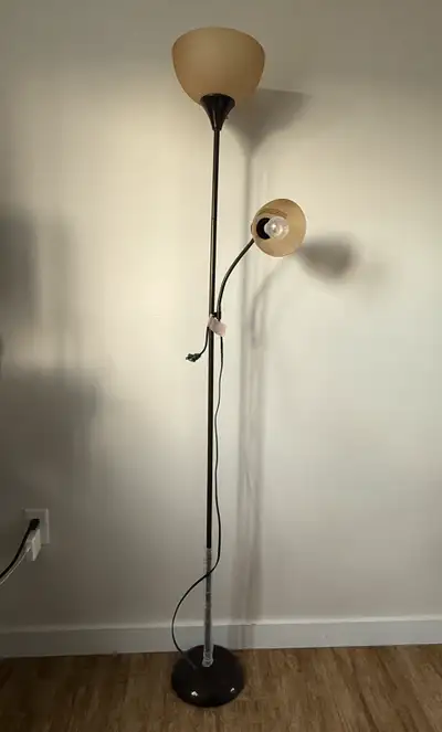Floor Lamp for $15, View more