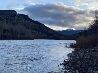 Build your dream house, cabin or Lodge in the middle of most beautiful part of the Yukon, South-East...