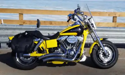 2009 Harley-Davidson CVO Fat Bob — Screamin’ Eagle 110 COLLECTOR’S BIKE — 2009 CVO Dyna Fat Bob (FXD...
