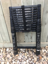 Telescopic Ladder