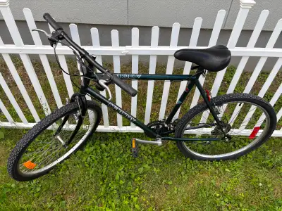 Mckinley Horizon Bicycle, View more