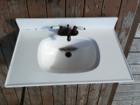 Sink with Glacier Bay Taps