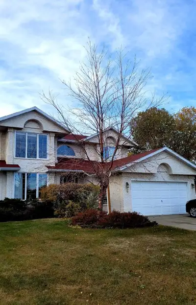 Large room with your own newly renovated bathroom for rent in quiet, kids and pets free home in the...