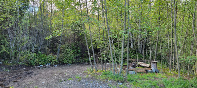 Tofino & Ucluelet R/V and Campsites  in British Columbia - Image 3