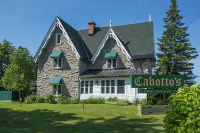 Cabottos is looking for cooks., View more