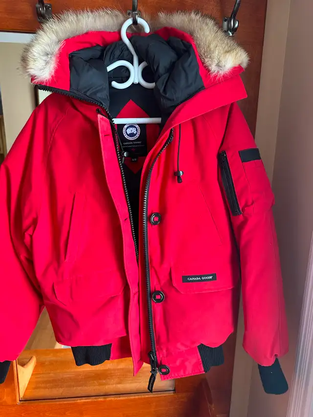 Canada Goose Bomber Coat in Women's - Tops & Outerwear in Gander - Image 3