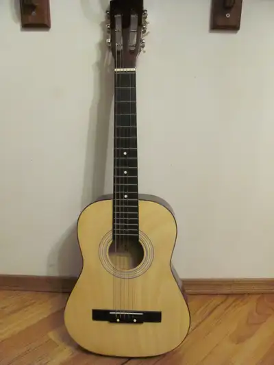 Burswood Acoustic Guitar, View more