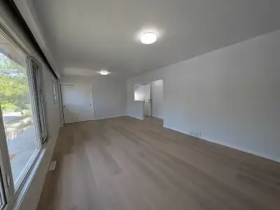 Modern Updated 3 Bedroom