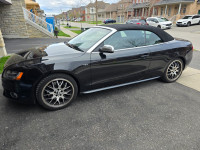 2010 Audi S5 Convertible / Cabriolet . Low KM.