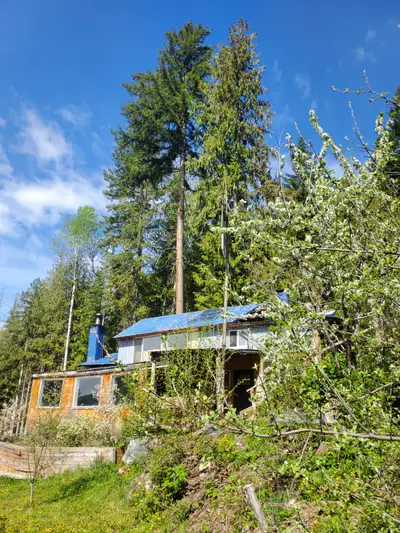 No mortgage possible, must be full price to purchase and transfer title. Very nice lot with house an...