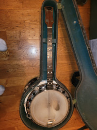 Old banjo