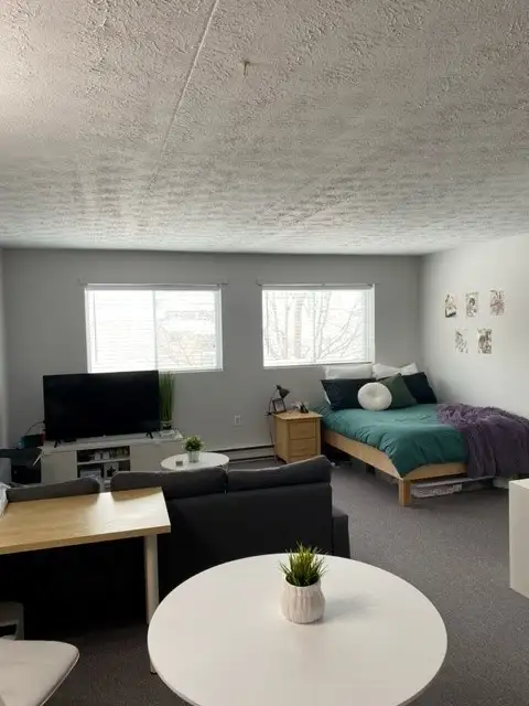 Appartement 3 1/2