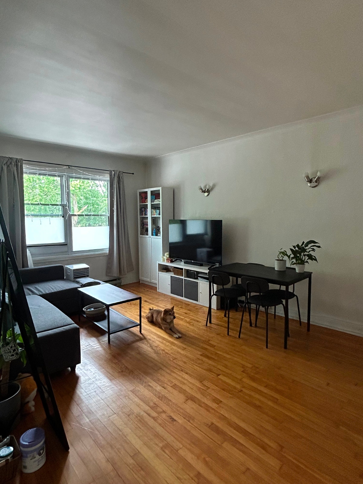Appartement 4 1/2 ANIMAUX ACCEPTÉS — photo 1