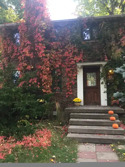 Chambre d’étudiant à louer – 900 $ / mois – Vieux Saint-Laurent Disponible à partir de janvier 2026...