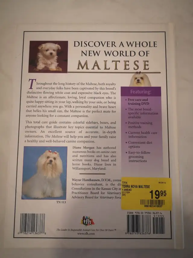 The Maltese64026026901889121