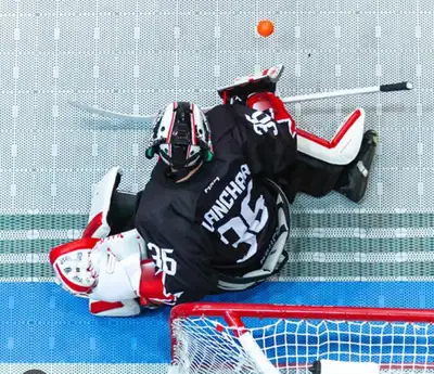 Need a ball hockey goalie sub this Sunday, View more