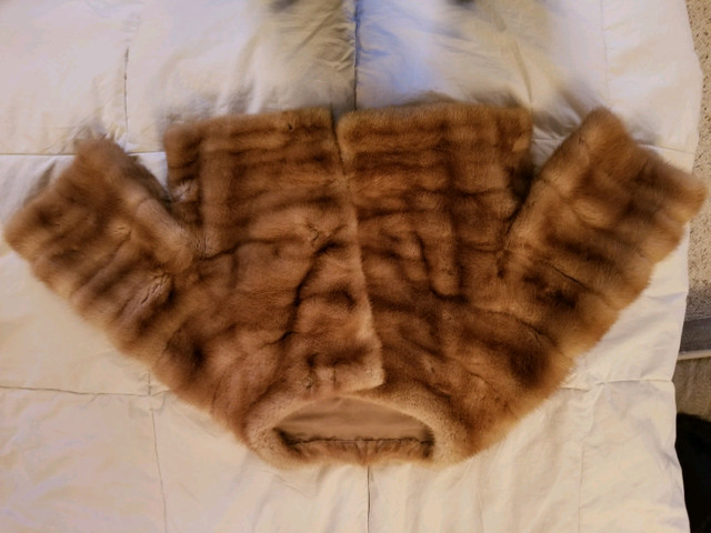 Mink stole

Walker's Toronto  in Women's - Other in Kingston