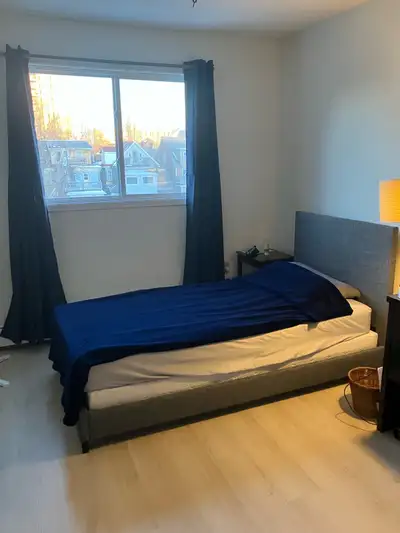 Single/Twin Size Bed (bed frame, box spring, mattress), View more