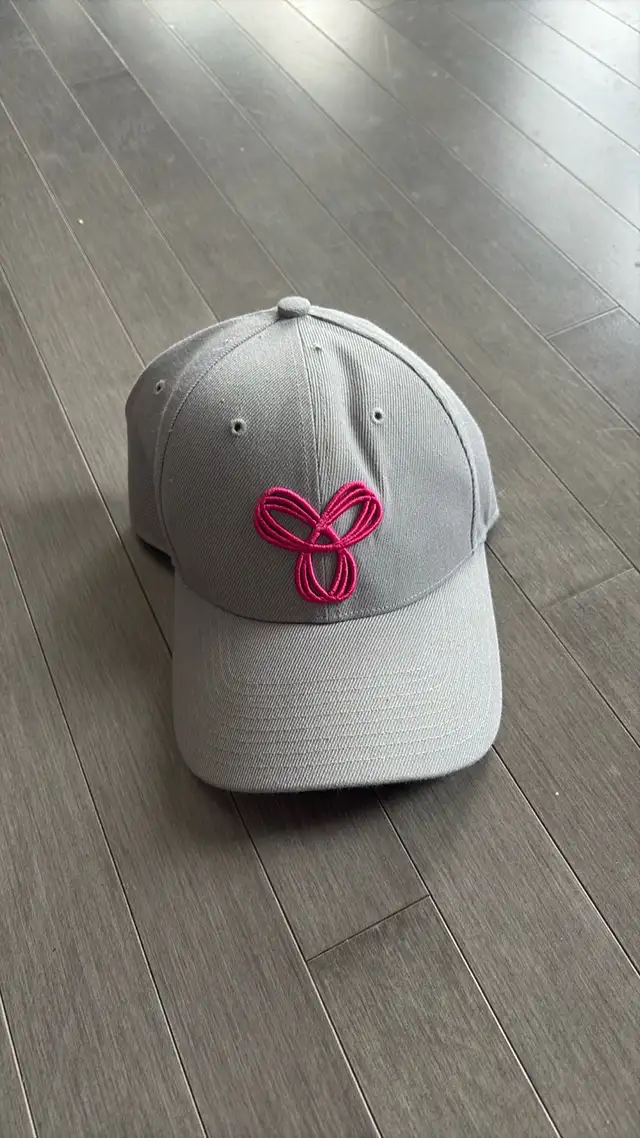 Aritzia Hat 63815756492161120