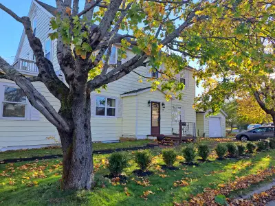 This is a clean and quiet 1-bedroom apartment in Quinton Hgts. (west) It is a second-floor apartment...