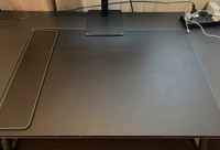 IKEA Desk Mat - RISSLA - Like New